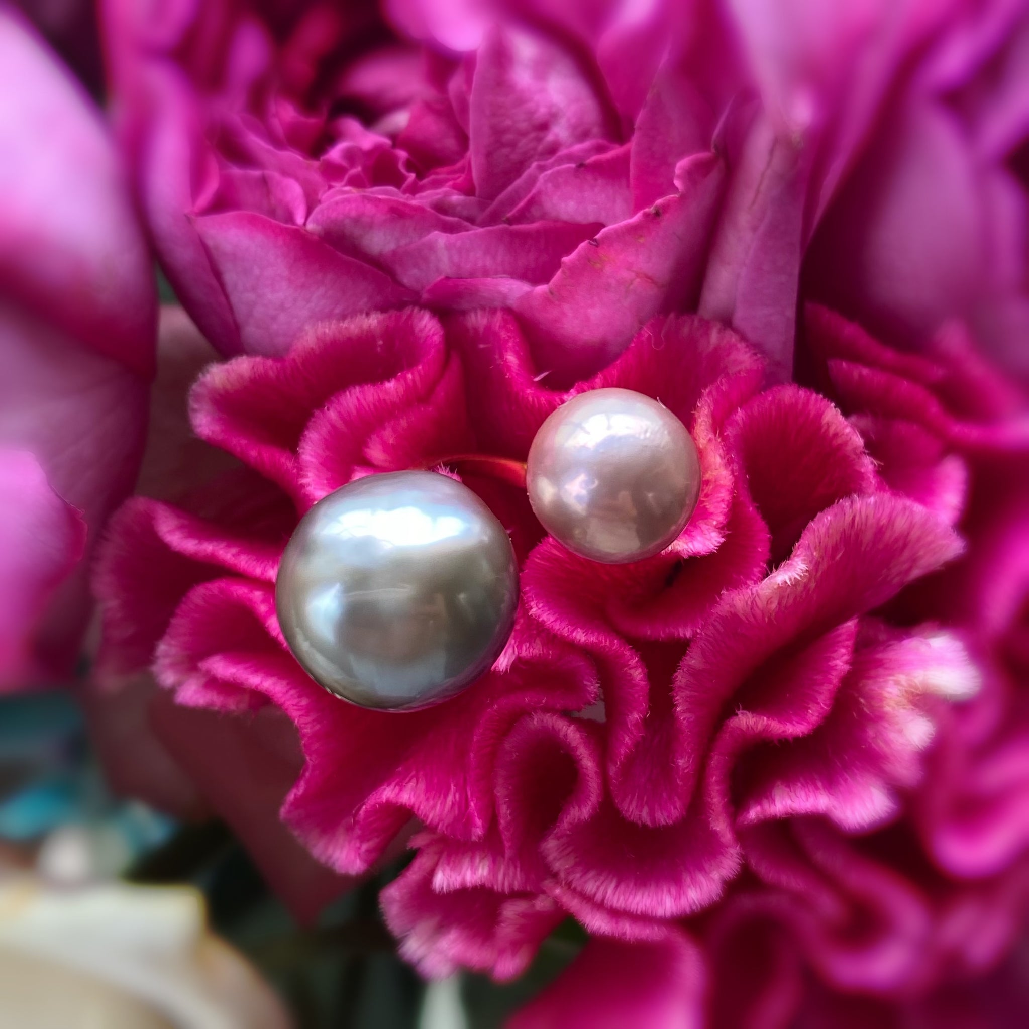 一点ものtahiti pink  pearl ring No.16 - hikari pearl.